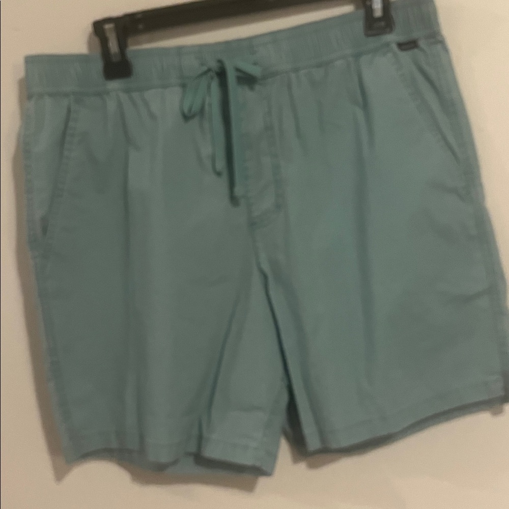 Quicksilver Men's Jade Grey Flat Front Shorts